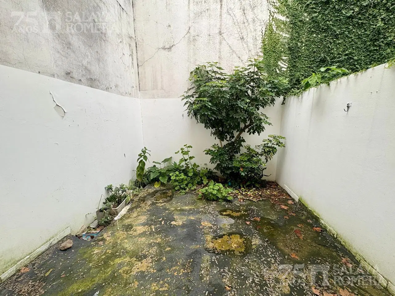 PH apto credito en venta en Villa Urquiza 5