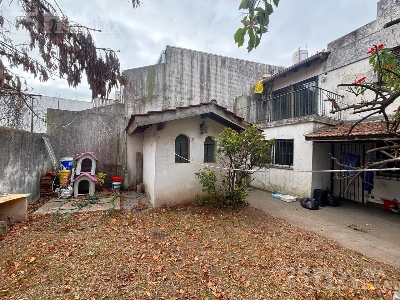 Casa en venta lote propio jardín 5 ambientes a refaccionar Olivos 3