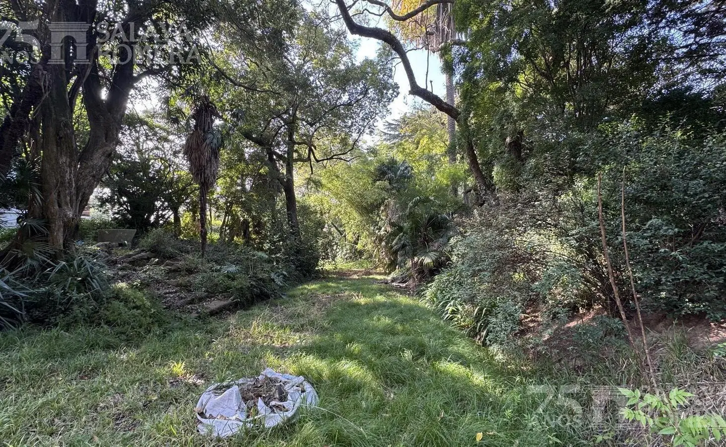 Casa colonial en venta 7 ambientes en Olivos 5