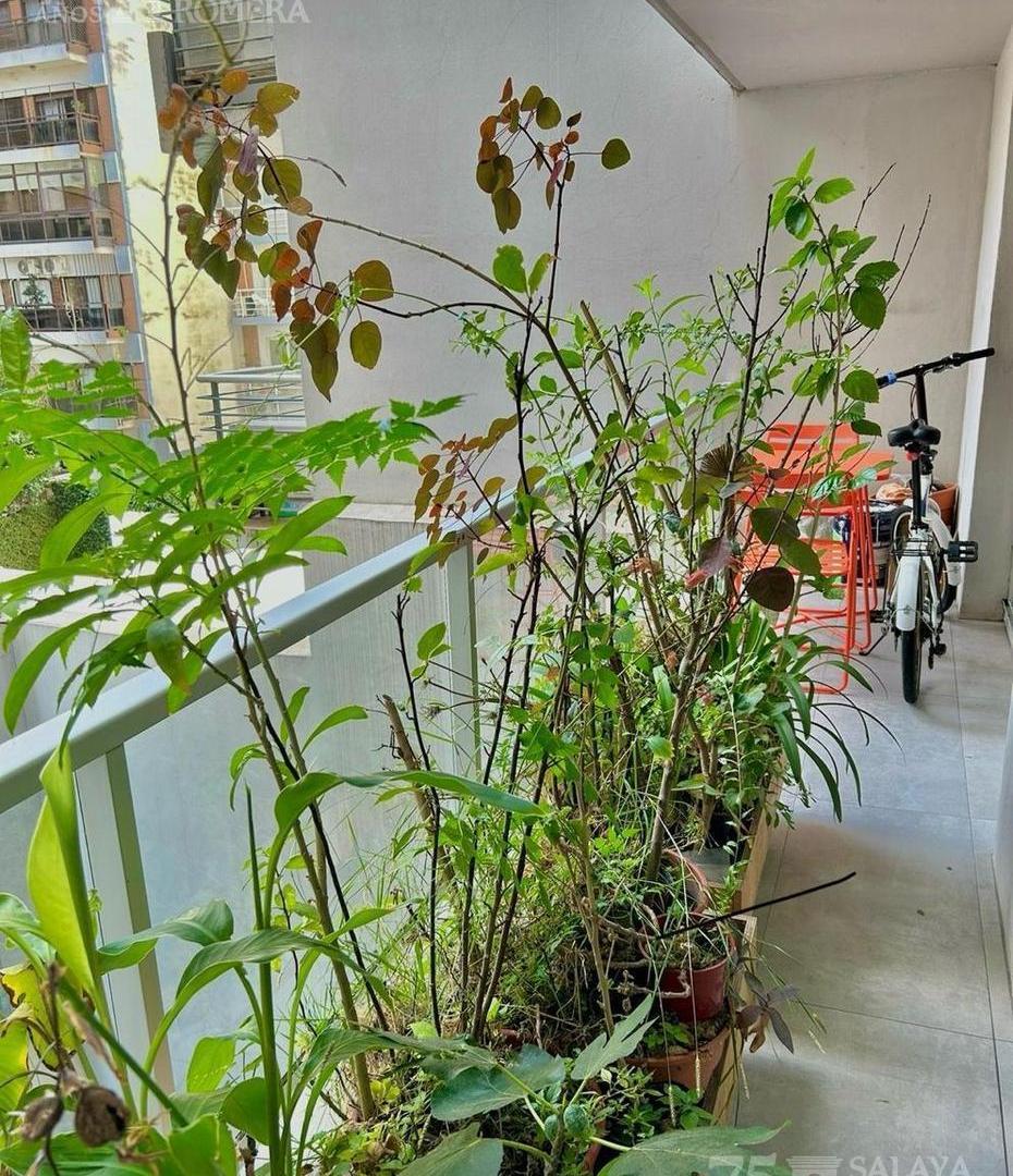 Foto de Alquiler departamento Zabala y Amenabar, imagen 5