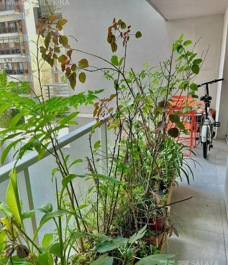 Alquiler departamento Zabala  y Amenabar 5