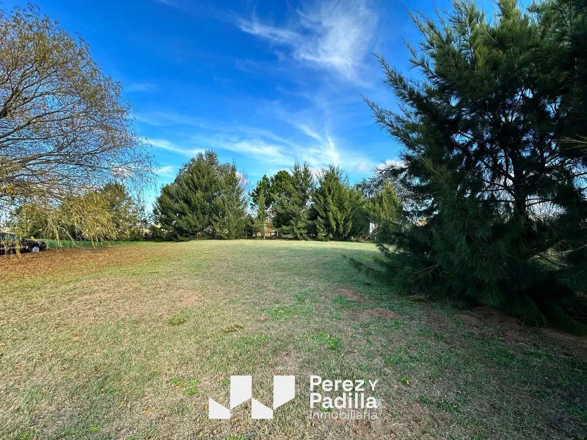 Ideal terreno de 3.750 M2 en La Esmeralda a 7 cuadras de Av. Galo - Pavón (lado Sur) 4