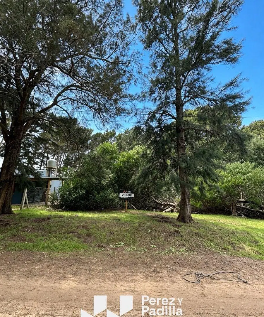 Terreno de 500 M2 en Nueva Atlantis a nivel y con arboles en el fondo 4