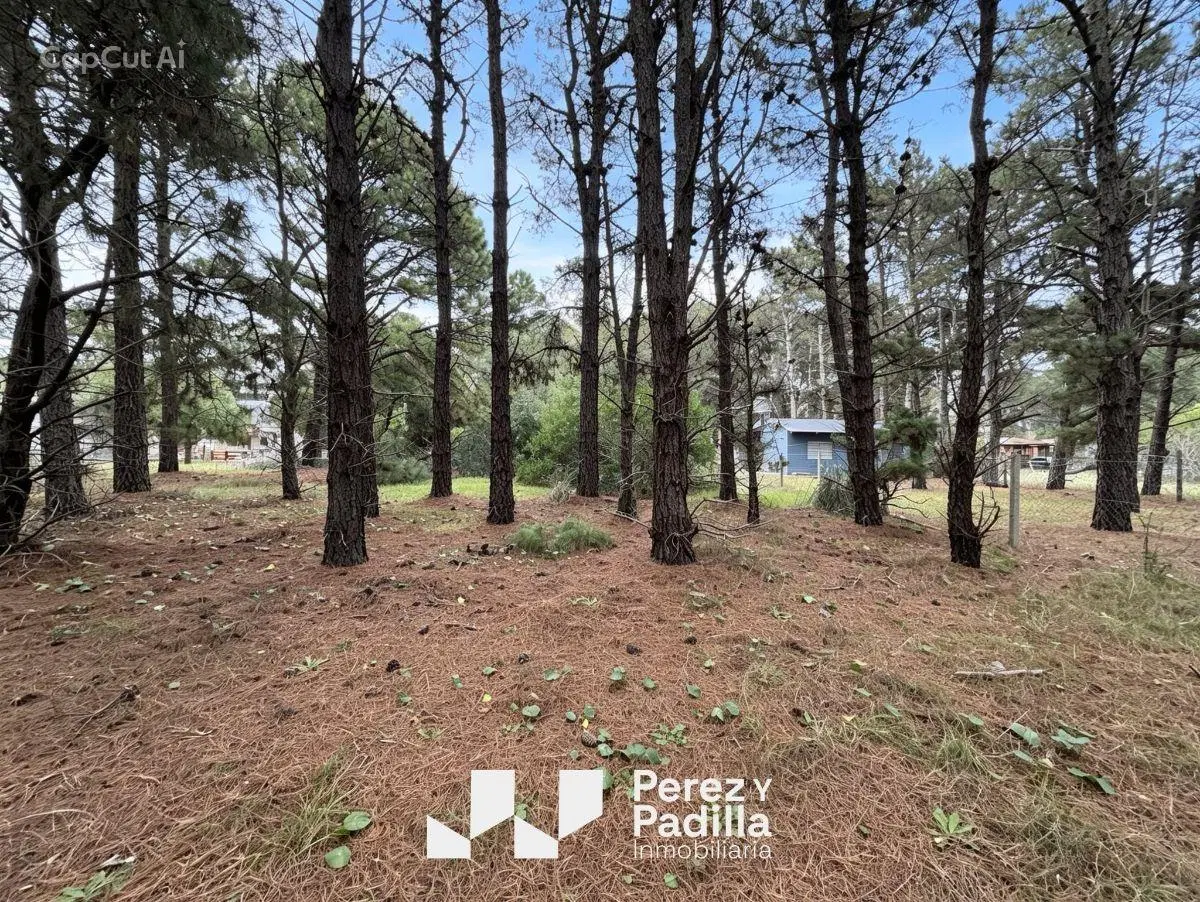 Terreno de 500 M2 en Nueva Atlantis a nivel y con arboles en el fondo 2