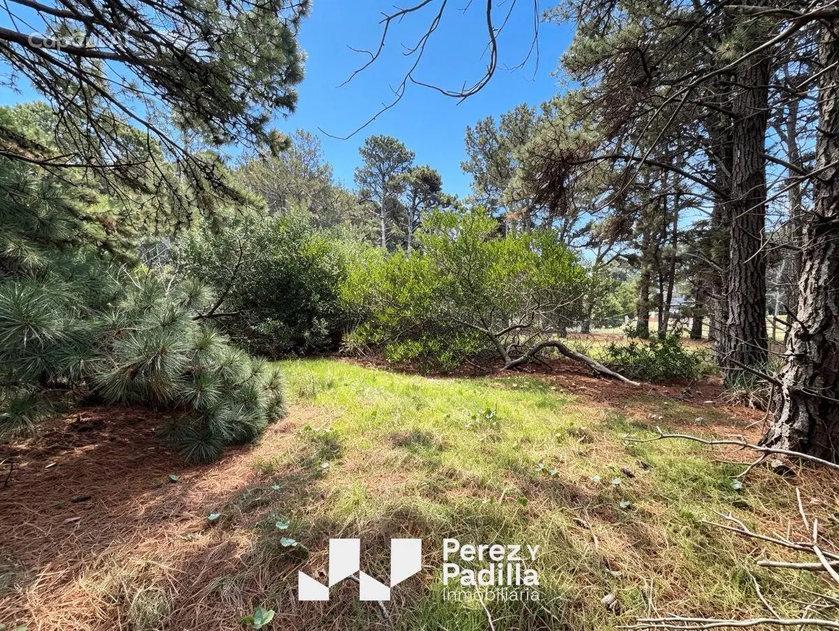 Terreno de 500 M2 en Nueva Atlantis a nivel y con arboles en el fondo 8