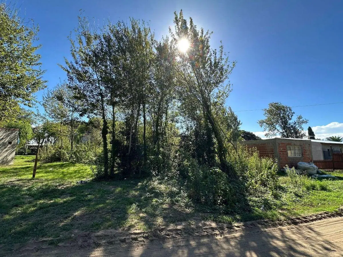 Terreno de 323 M2 - Paraje Pavon (Lado norte - garita 5) a una cuadra de Av. Galo 4