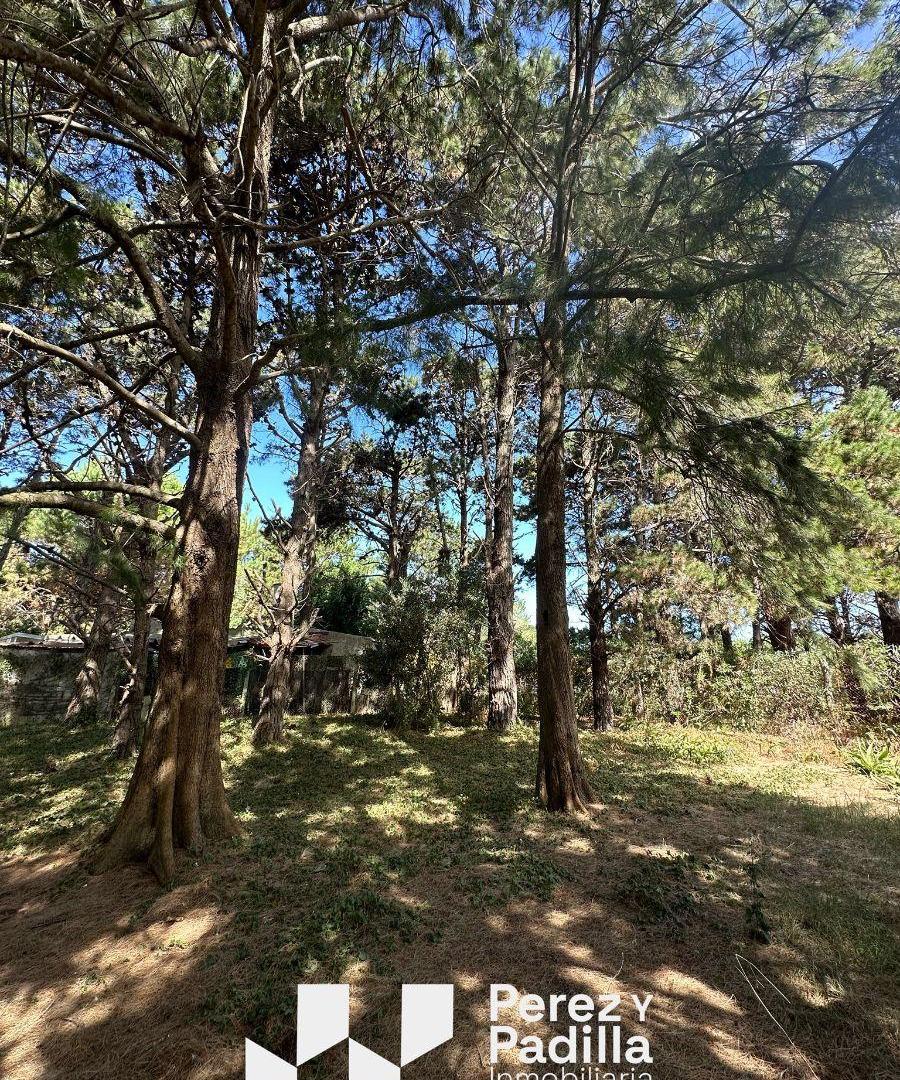 Foto de Terreno de 450 m2 a siete cuadras del mar, imagen 4