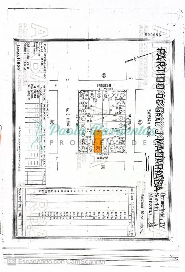 Plano 1