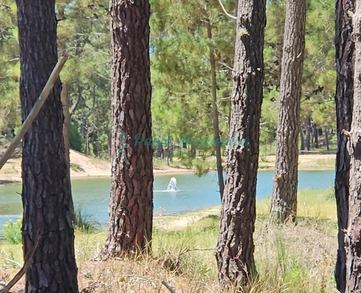Foto de Vendo Lote en Barrio Bosques etapa I Pinamar Norte, imagen 3