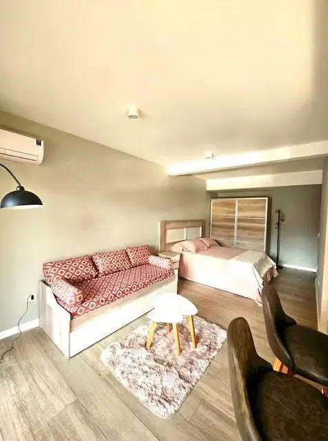 Departamento monoambiente en caballito 2