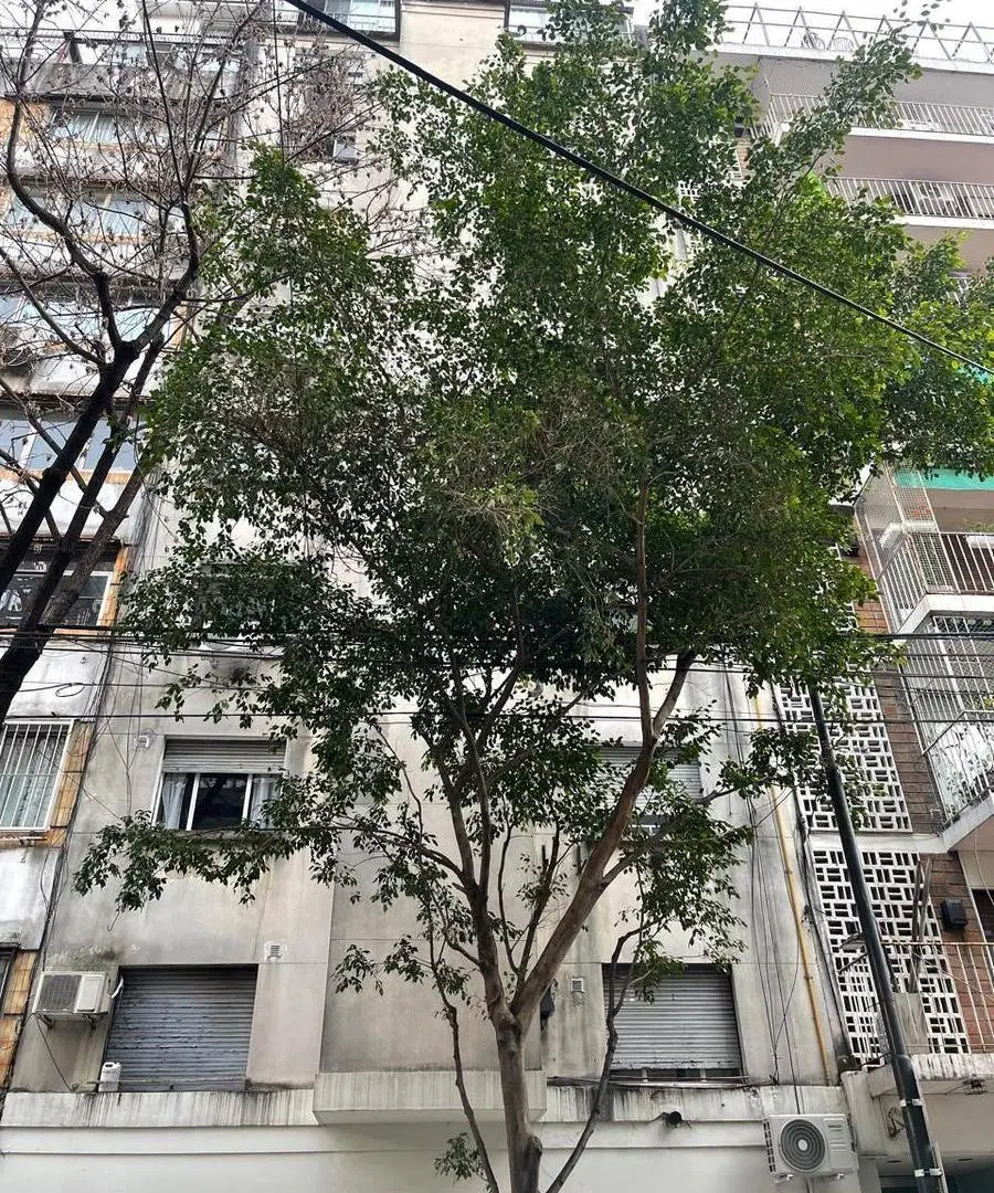 En Recoleta, monoambiente, en alquiler temporario 5