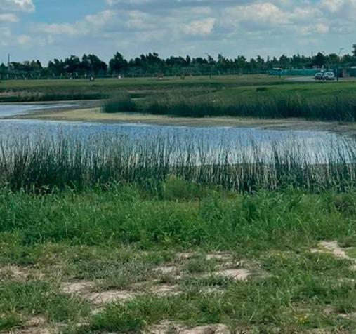 Foto de LOTE EN PUERTOS A LA LAGUNA!! BARRIO AMARRAS!!, imagen 2