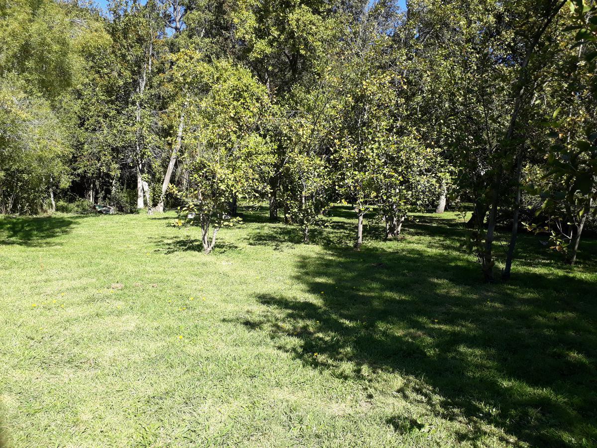 Casa - Villa Turismo 3