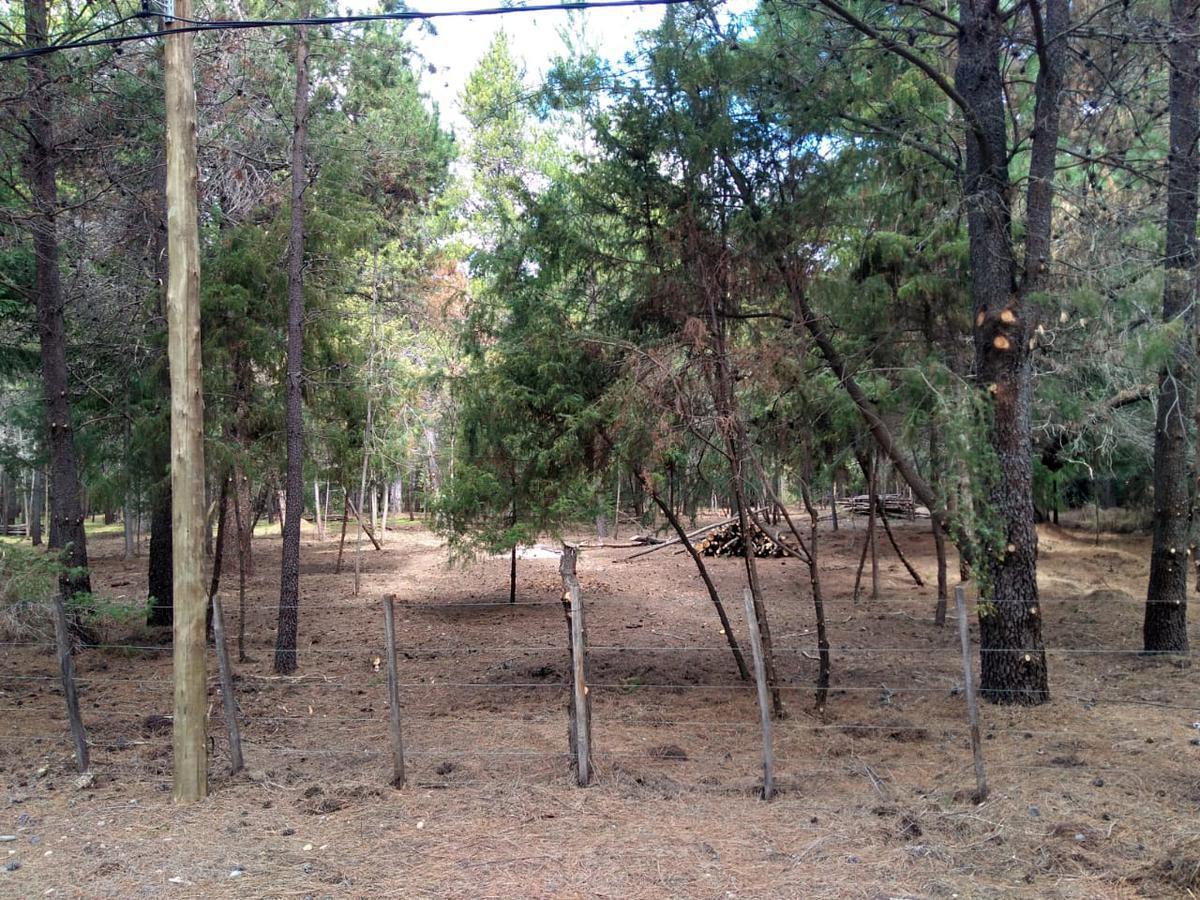 Terreno - Mallin Ahogado 2