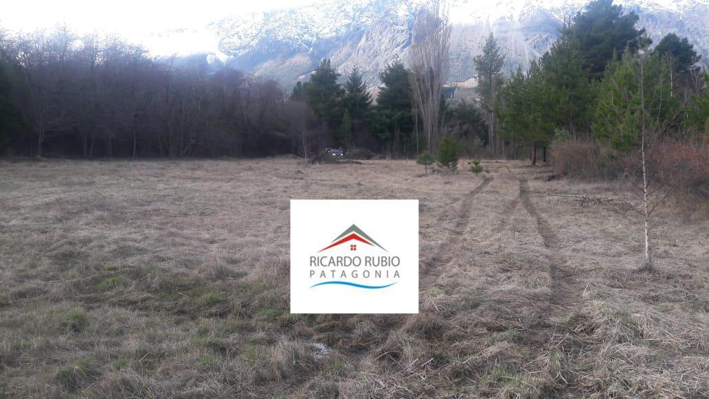 Foto de Terreno - Las Golondrinas, imagen 2