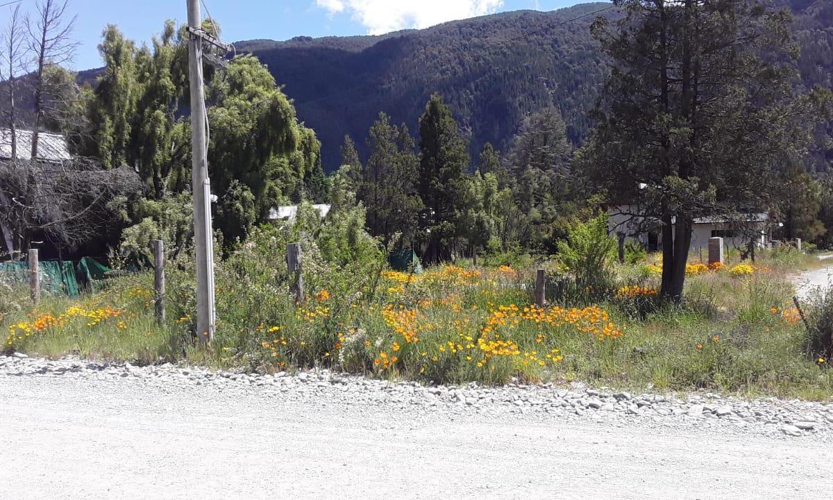 Terreno en Lago Puelo 1