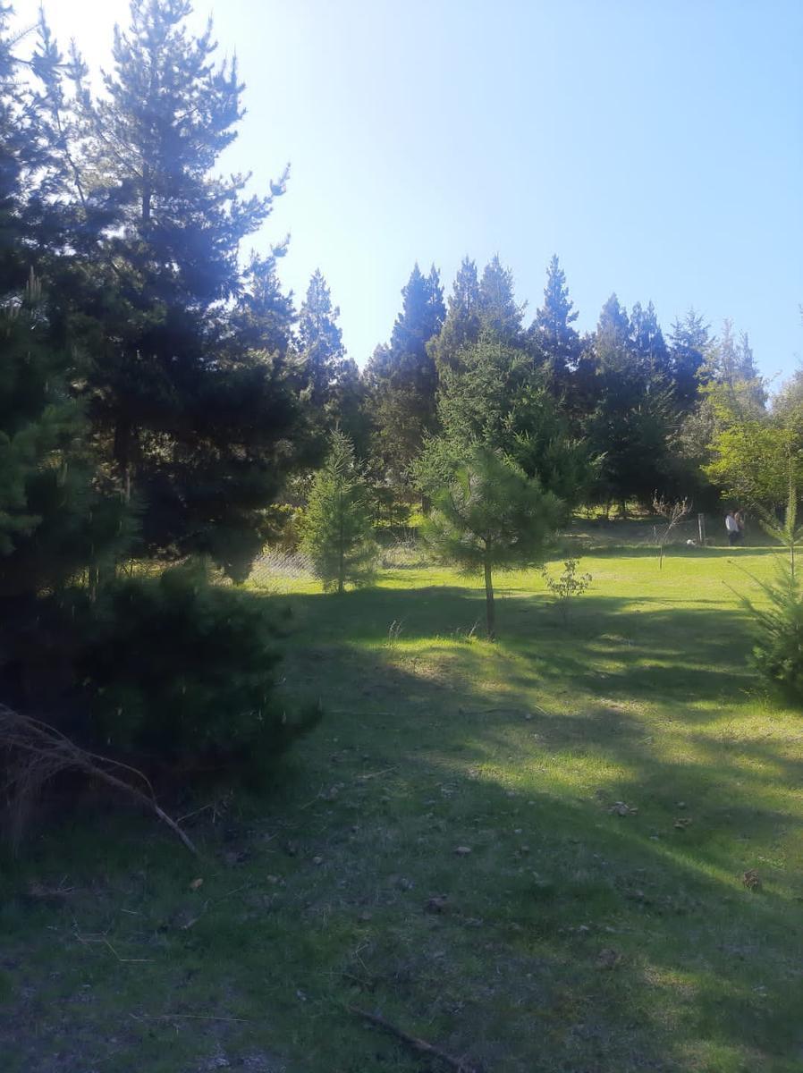 Foto de Terreno en Mallin Ahogado, imagen 5