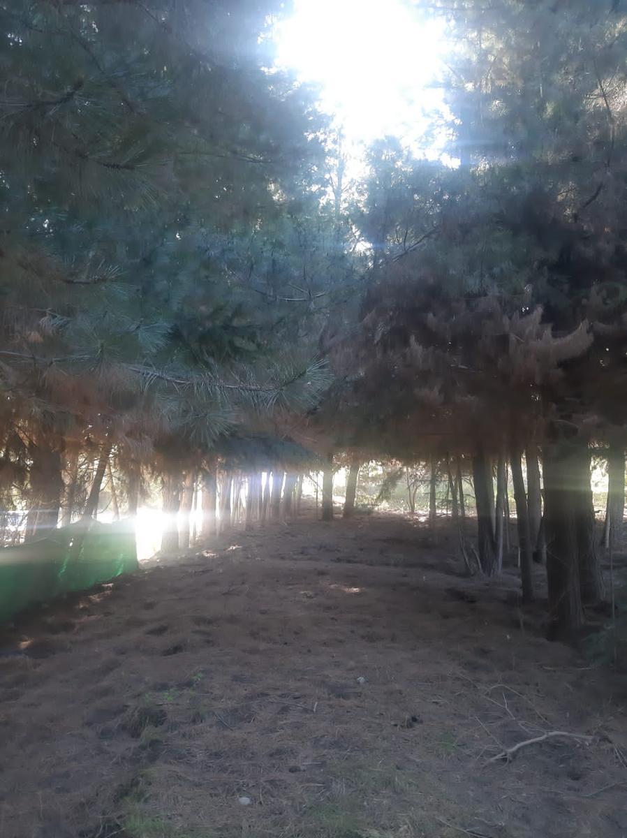 Terreno en  Mallin Ahogado