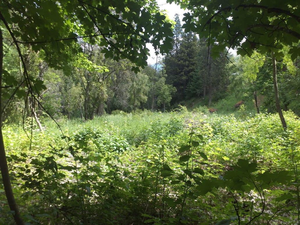 Terreno en Villa Turismo - El Bolson 2