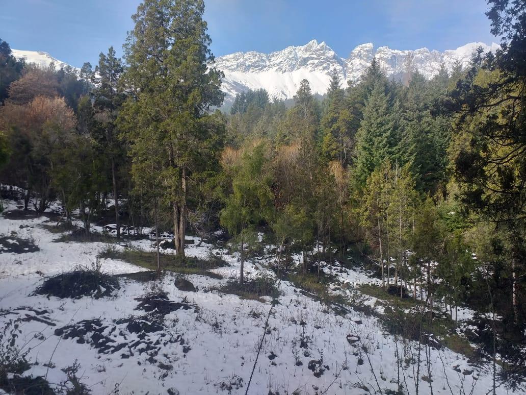 Terreno en Villa Turismo - El Bolson 5