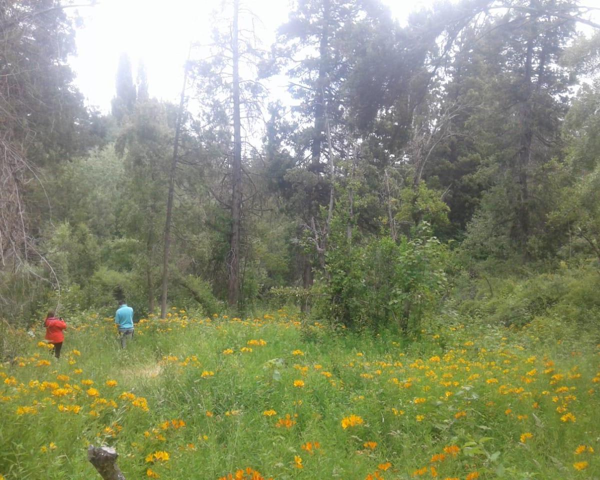 Terreno en Villa Turismo - El Bolson 4