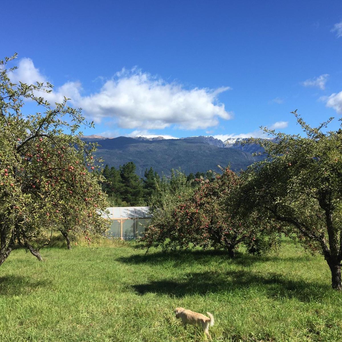 Chacra en Villa Turismo - El Bolson 5