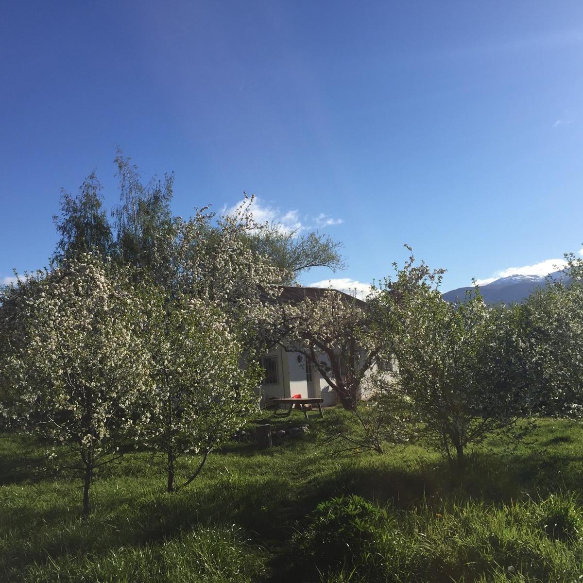 Chacra en Villa Turismo - El Bolson 2