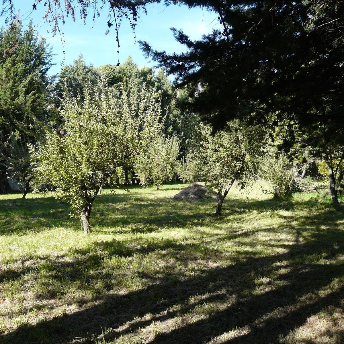 Terreno en Las Golondrinas 2