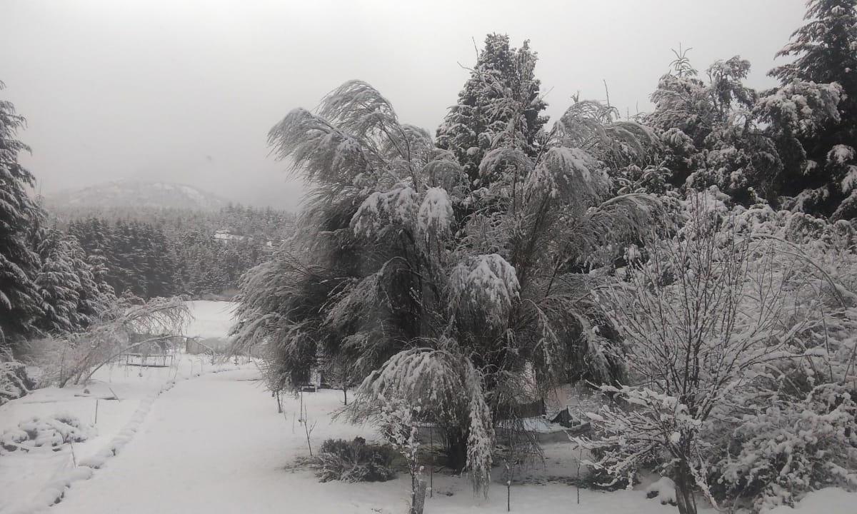 Terreno en Mallin Ahogado - El Bolson. 5