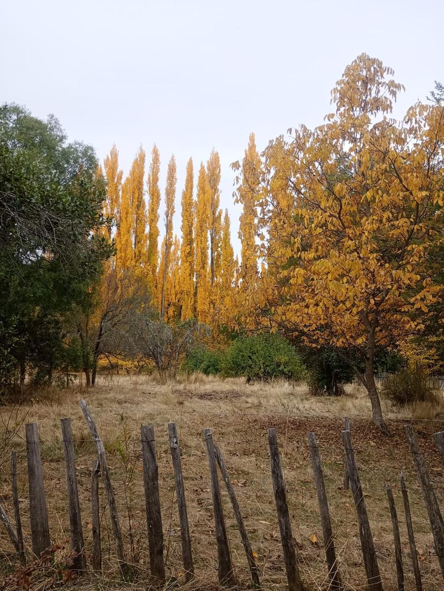 Chacra en Mallin Ahogado El Bolson 3