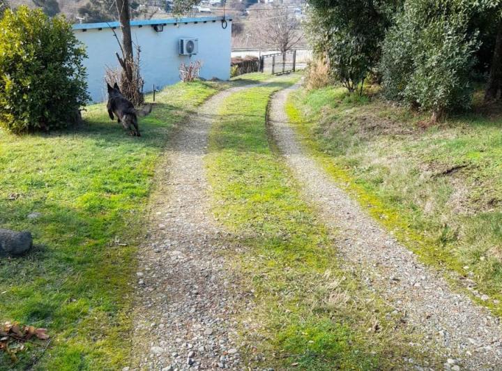 Casa en  El Hoyo- Sobre ruta 40. 5