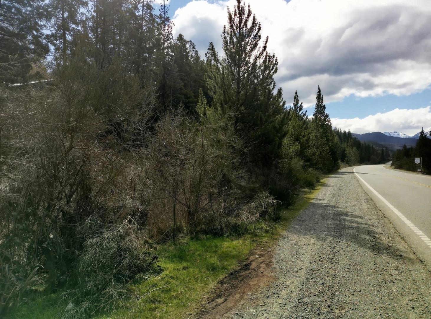 Foto de Terreno sobre ruta 40, imagen 3