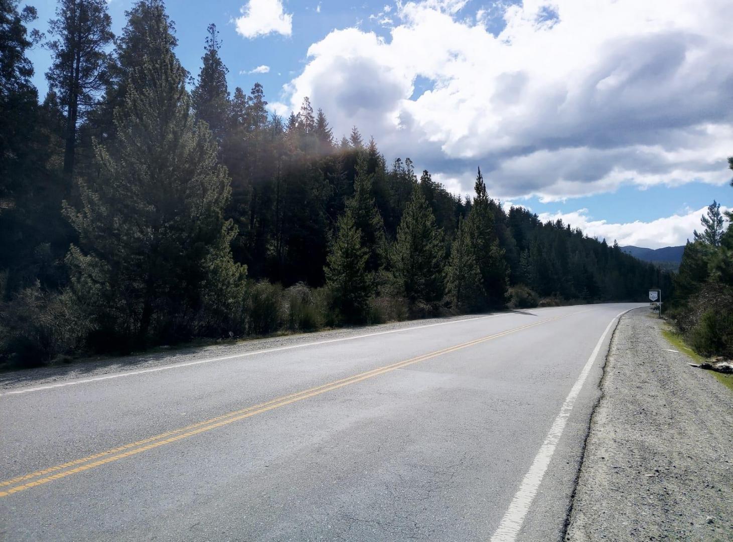 Foto de Terreno sobre ruta 40, imagen 4