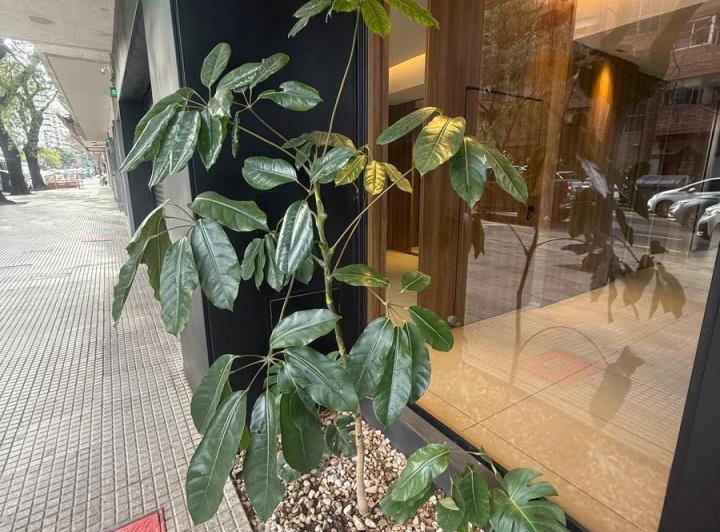 DEPARTAMNETO DE 2 AMB A ESTRENAR , VILLA URQUIZA 1