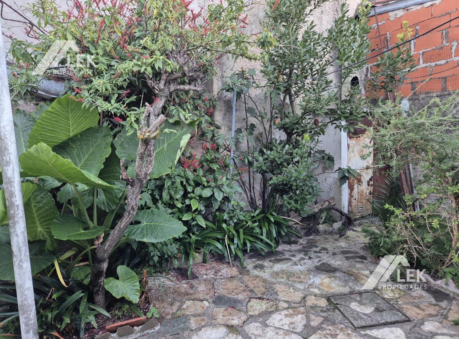 Foto de CASA 3 AMBIENTES EN BOULONGE, VENTA, MUY BUEN LOTE, APTO CREDITO, imagen 4