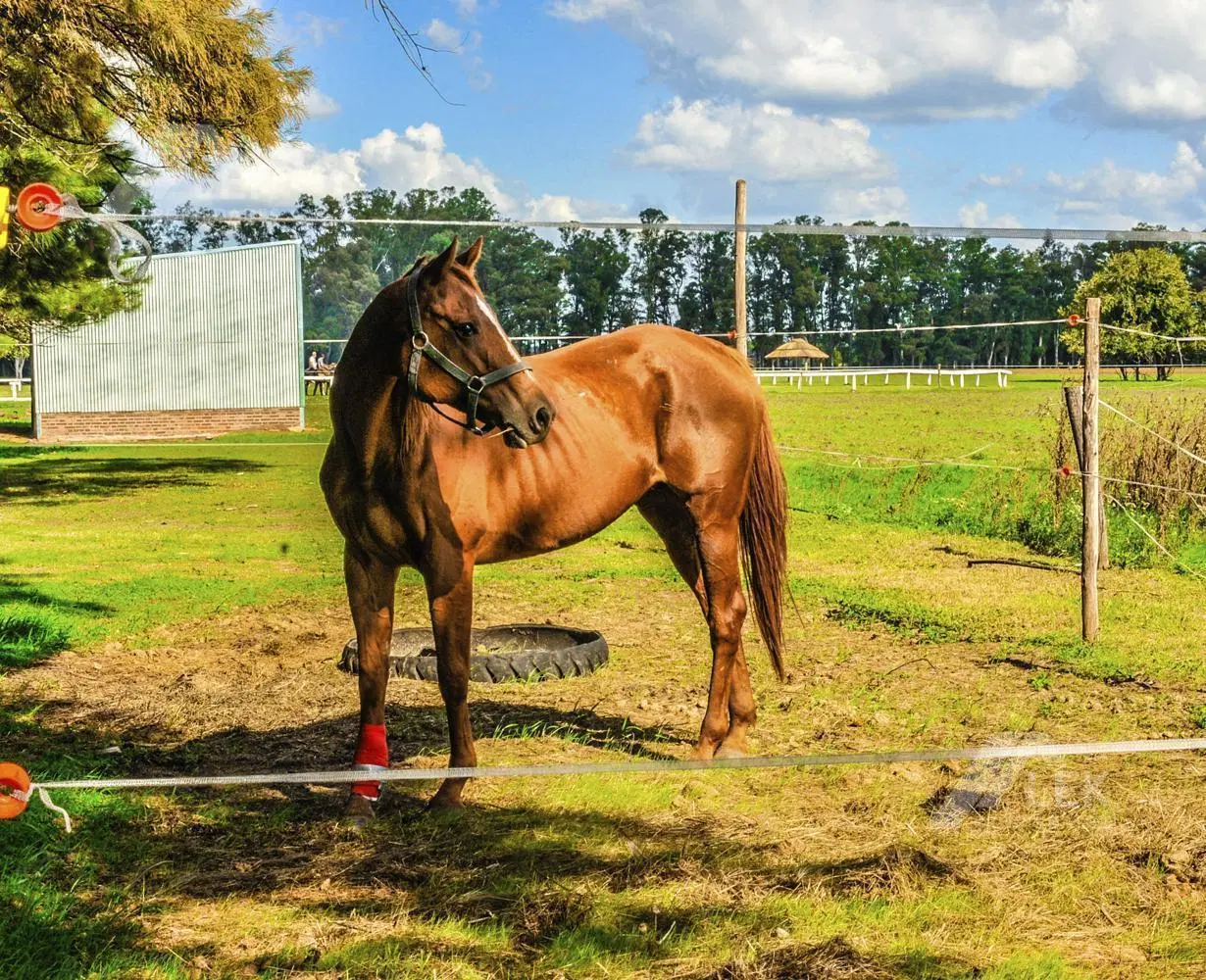 VENTA LOTE - CHACRAS DE SAN ANDRES DE GILES - CARLOS KEEN - VILLA RUIZ 4