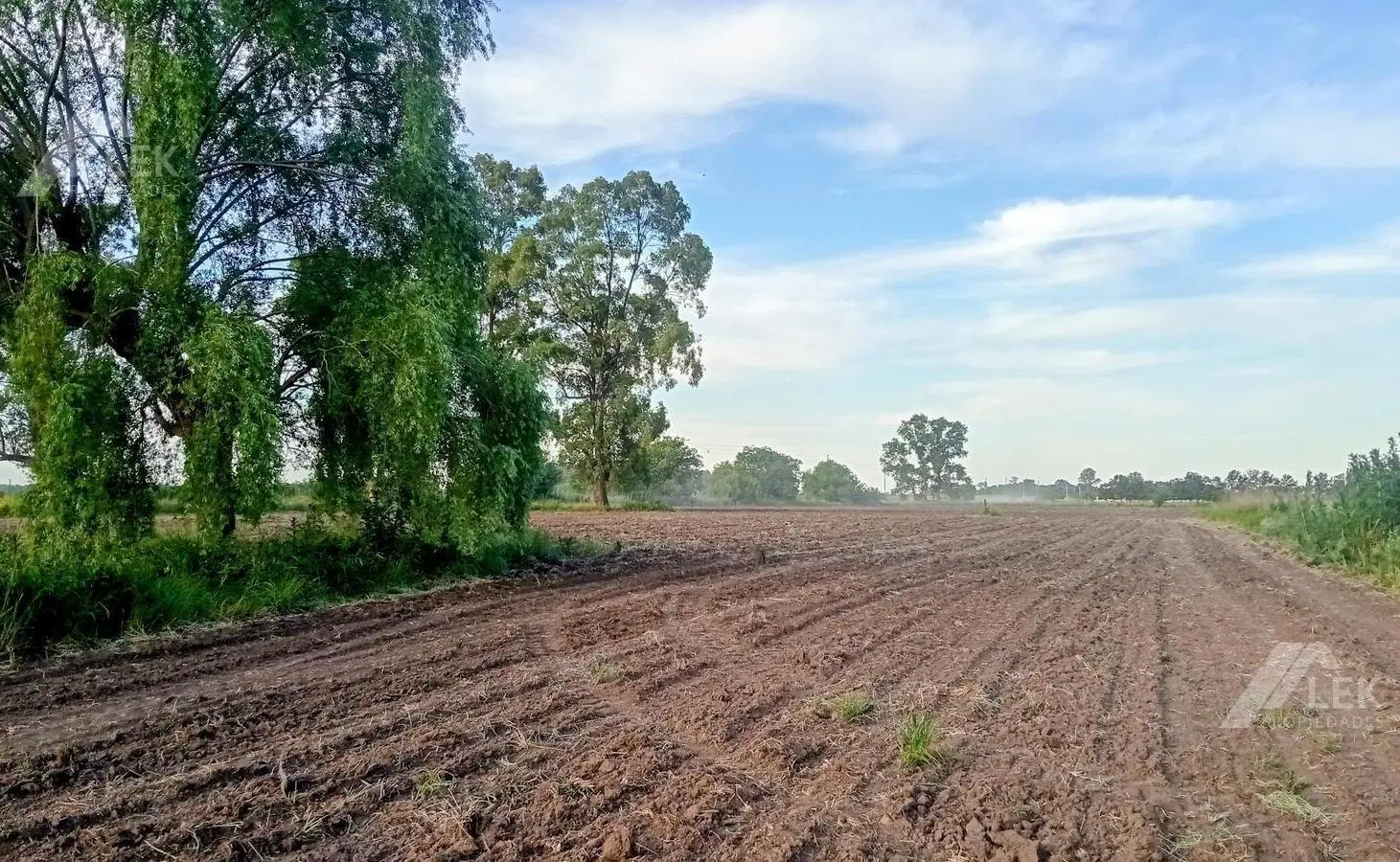 CAMPO VENTA CHACRA 5.5 HECTAREAS AGRICOLA GANADERO CON CASA - MARCOS PAZ - 4