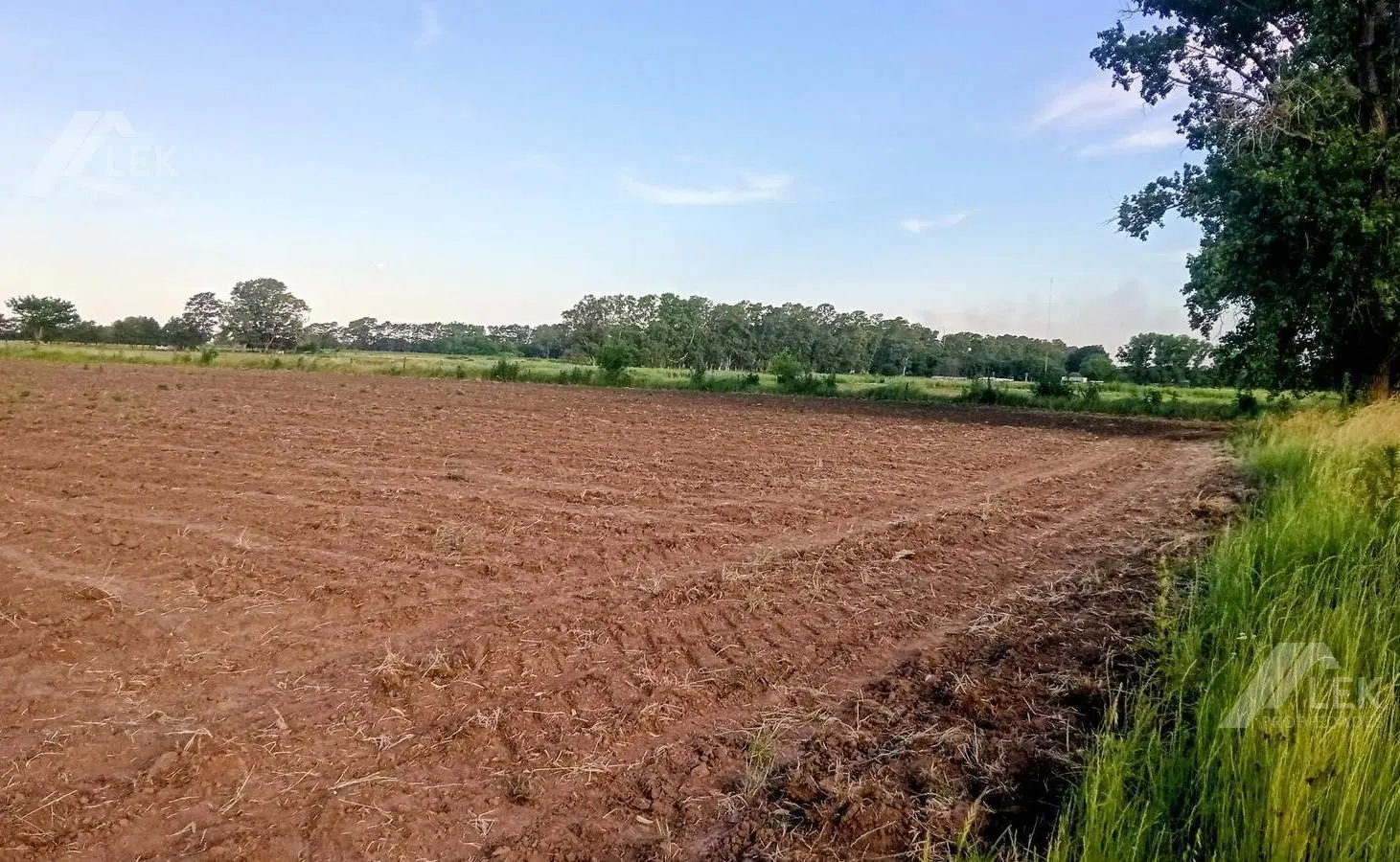 CAMPO VENTA CHACRA 5.5 HECTAREAS AGRICOLA GANADERO CON CASA - MARCOS PAZ - 5