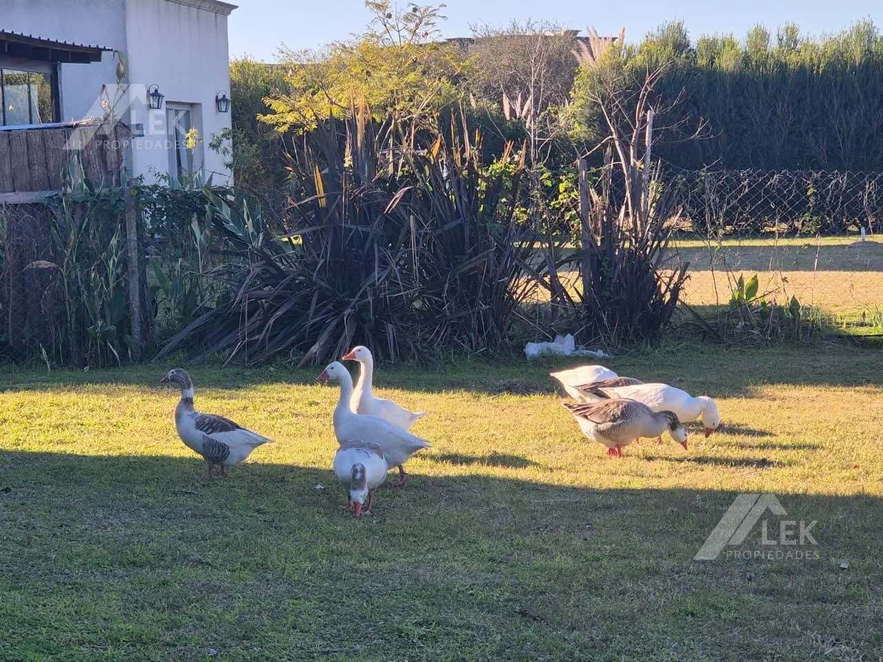 CASA EN EL CANTON  NORTE, ESCOBAR, 4 AMBIENTES, VENTA, VISTA AL AGUA 2