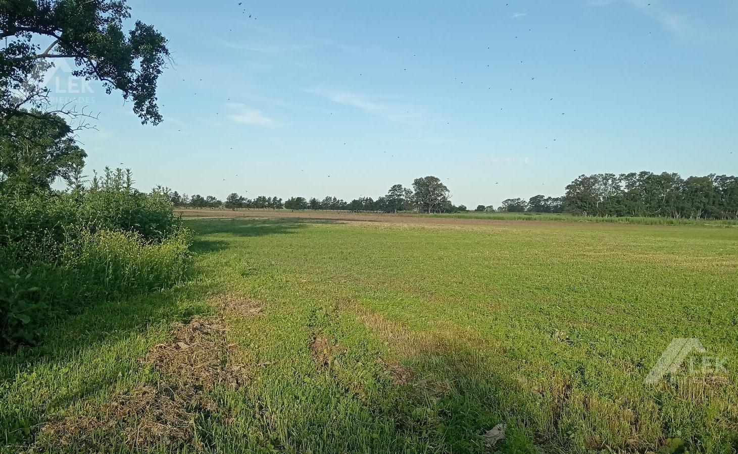 VENTA CHACRA HECTAREAS CAMPO - MARCOS PAZ - VIRREY DEL PINO