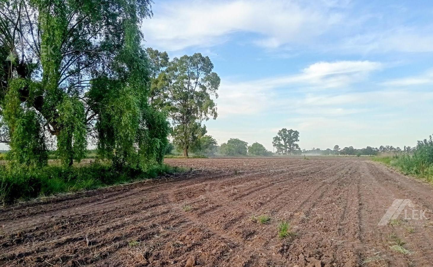 Foto de VENTA CHACRA HECTAREAS CAMPO - MARCOS PAZ - VIRREY DEL PINO, imagen 2