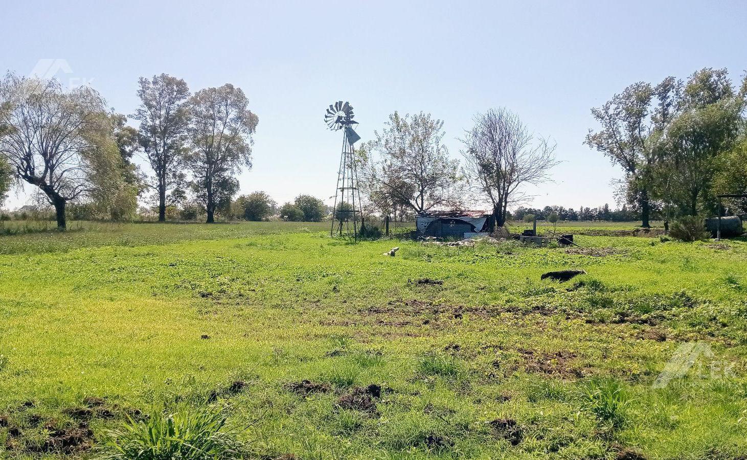 Foto de VENTA CHACRA HECTAREAS CAMPO - MARCOS PAZ - VIRREY DEL PINO, imagen 4