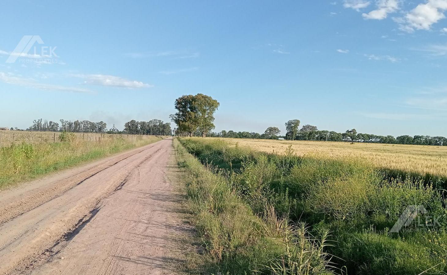 Foto de VENTA CHACRA HECTAREAS CAMPO - MARCOS PAZ - VIRREY DEL PINO, imagen 3