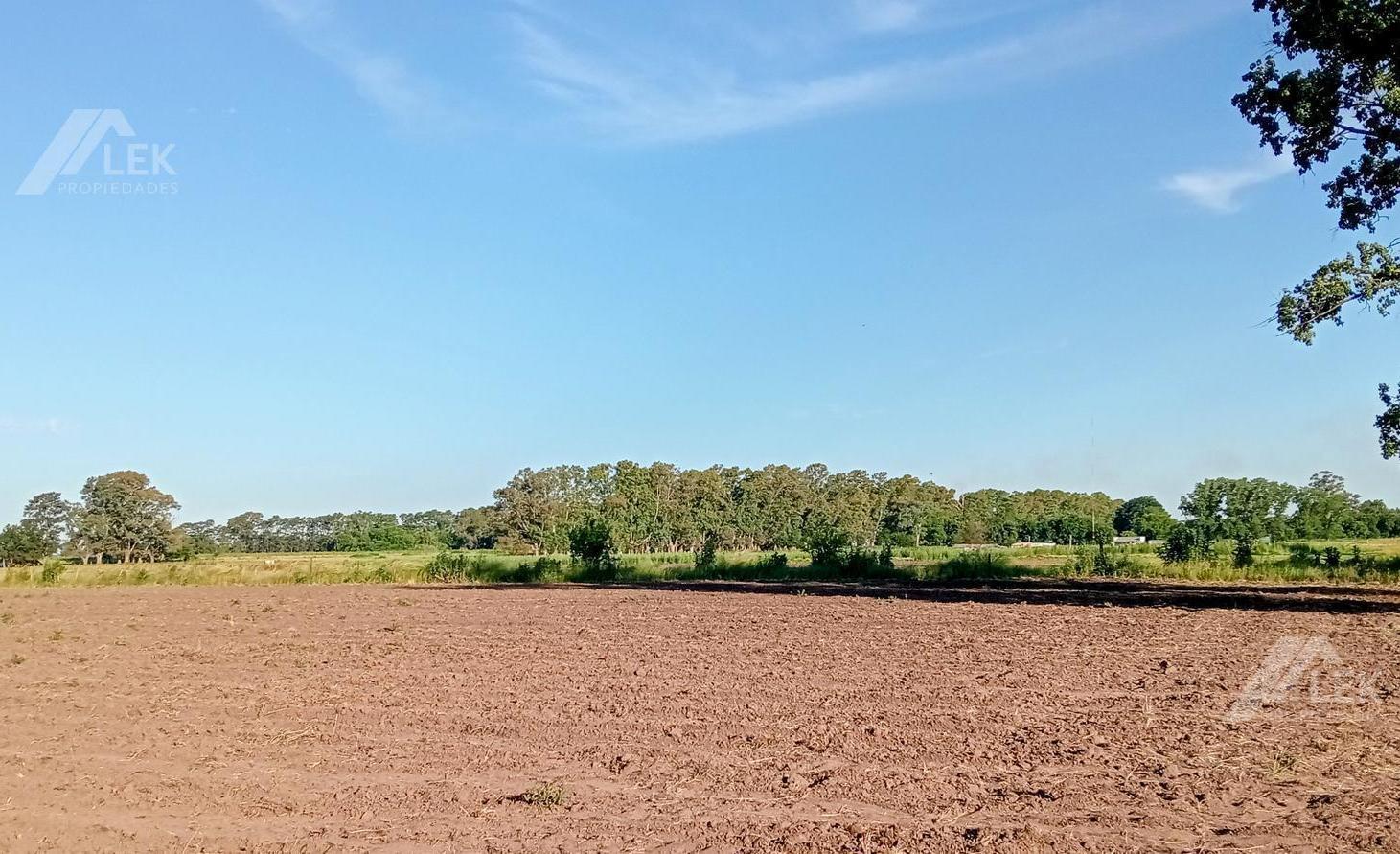 Foto de VENTA CHACRA HECTAREAS CAMPO - MARCOS PAZ - VIRREY DEL PINO, imagen 5