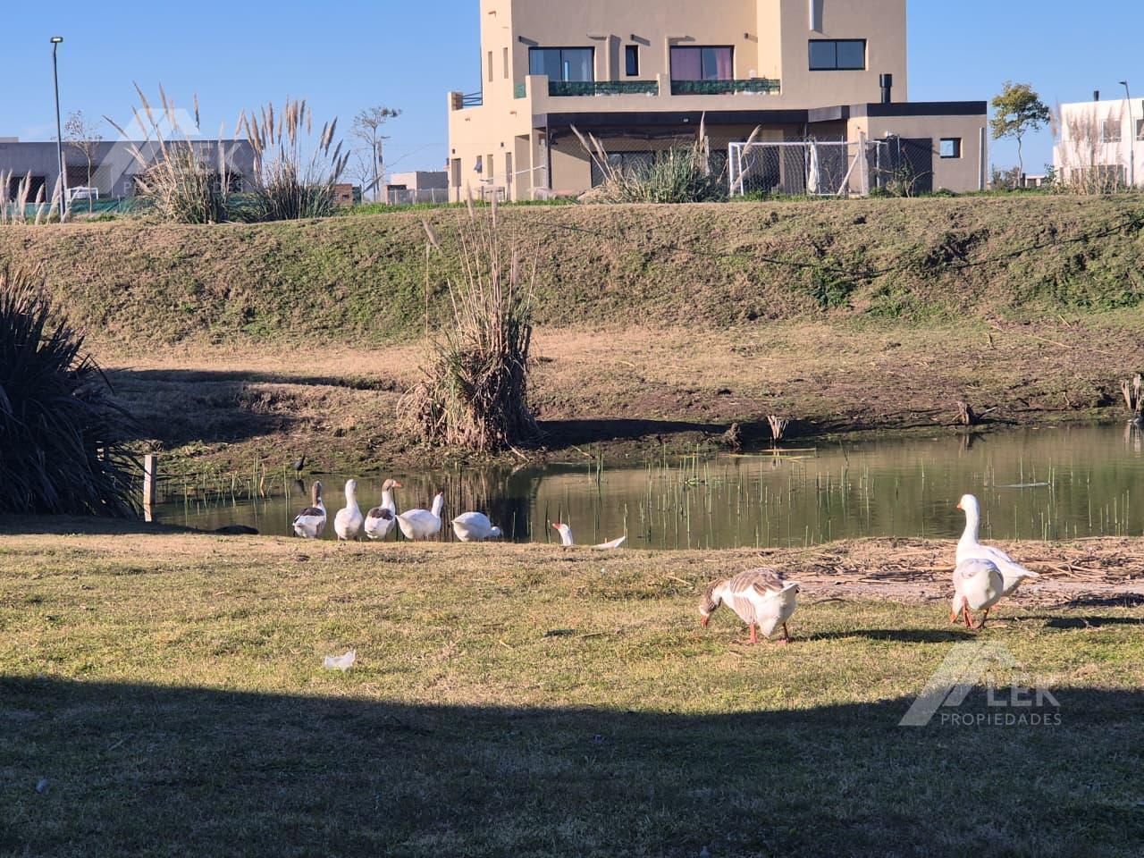 Foto de CASA EN EL CANTON NORTE, ESCOBAR, 4 AMBIENTES, VENTA, AL AGUA, imagen 5