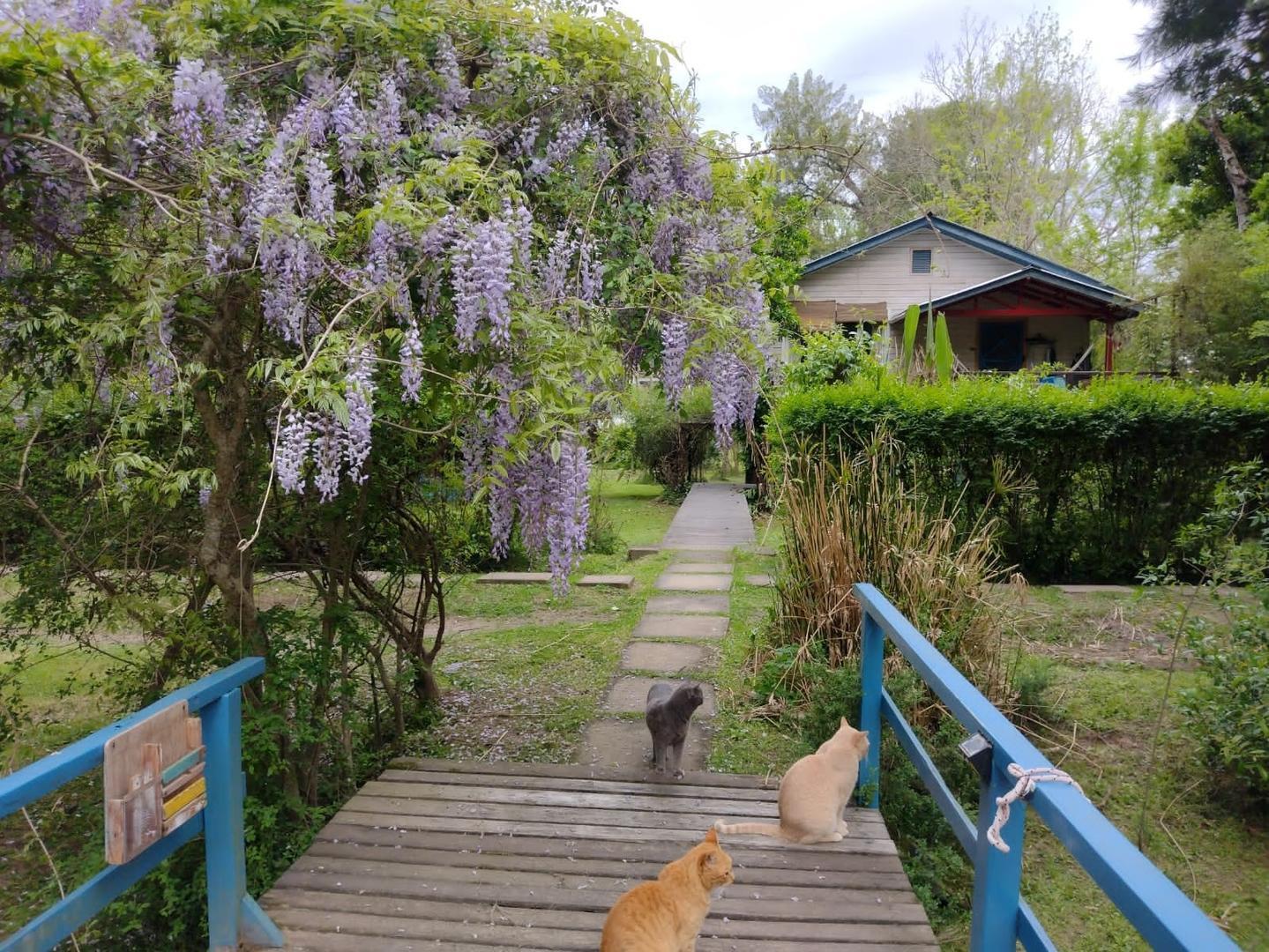 Arroyo Rama negra, hermosa casa Mamina