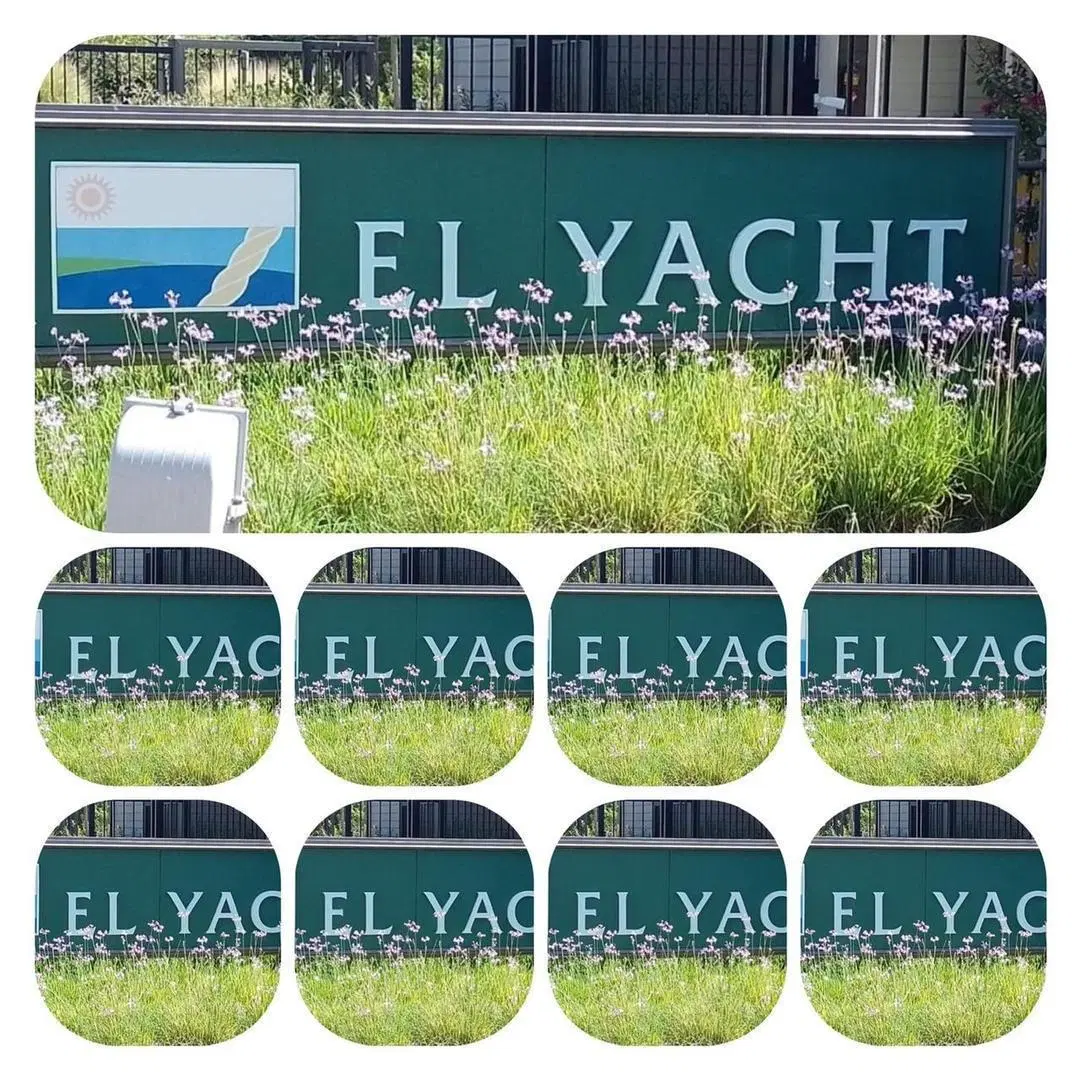 LOTE EN NORDELTA BARRIO EL YACHT AL RÍO! 5