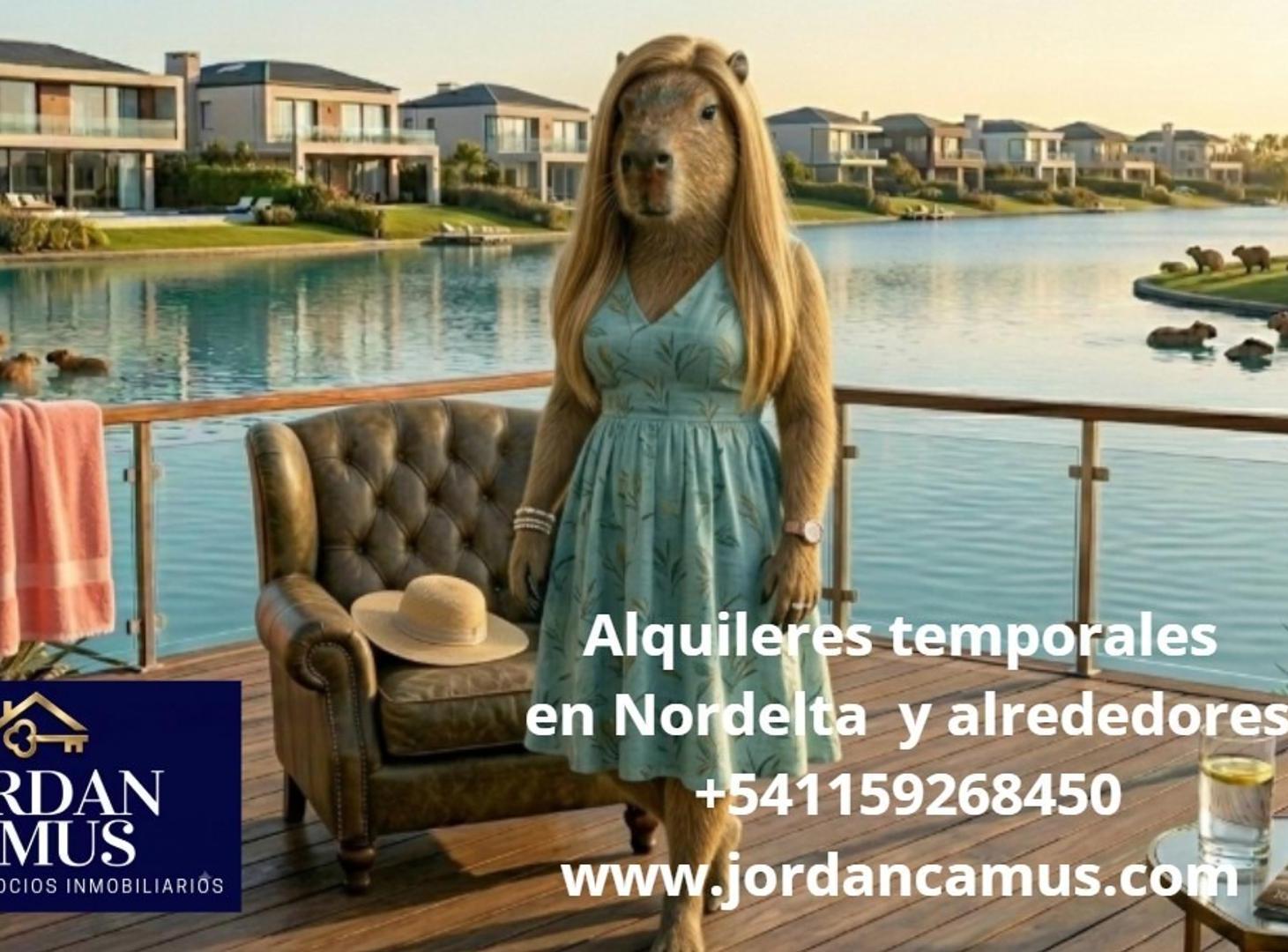 Foto de Alquiler temporal y anual, imagen 4