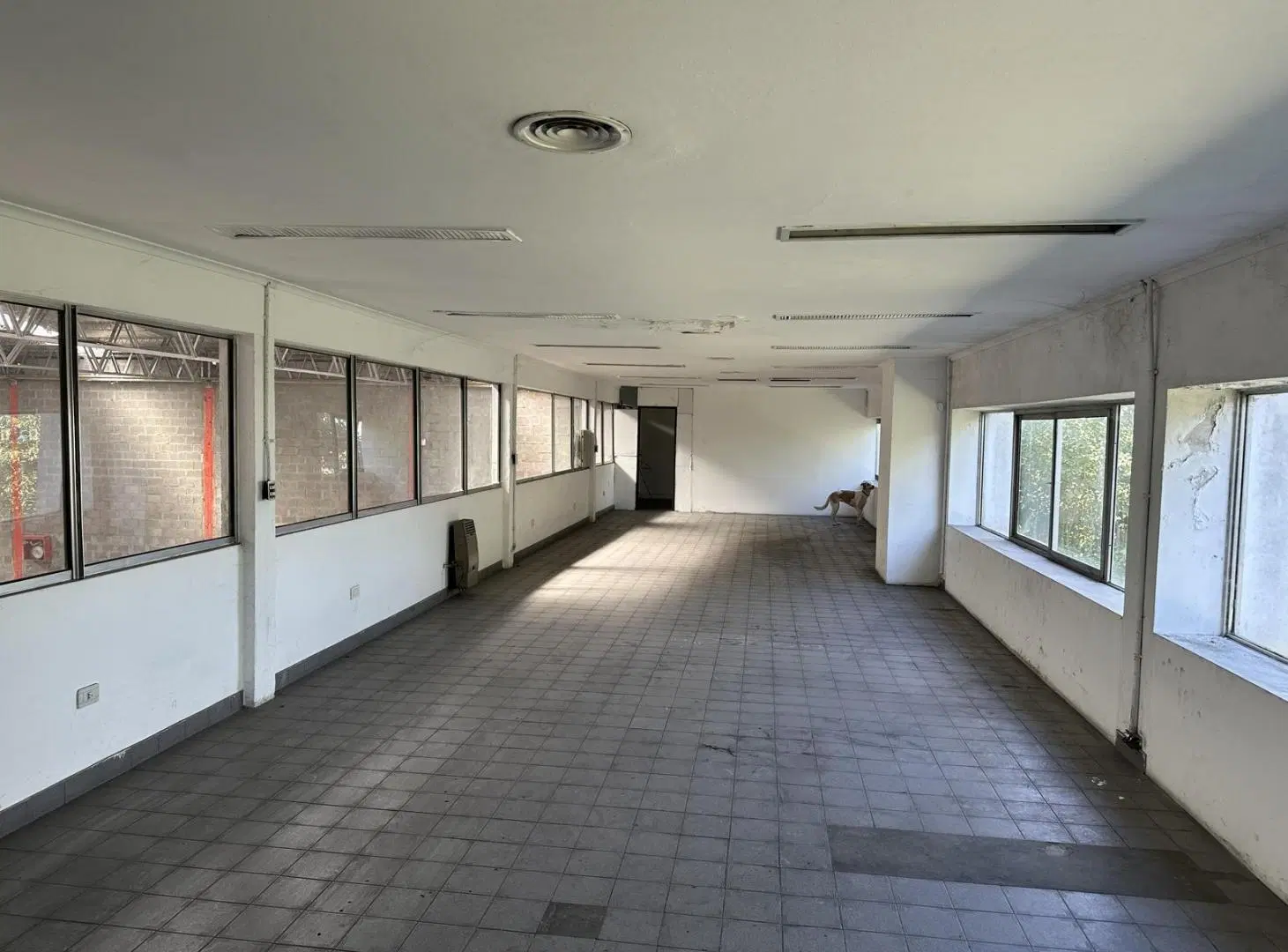 Alquiler Depósito 4.412m2 en Calle 8 Parque Industrial Pilar 5