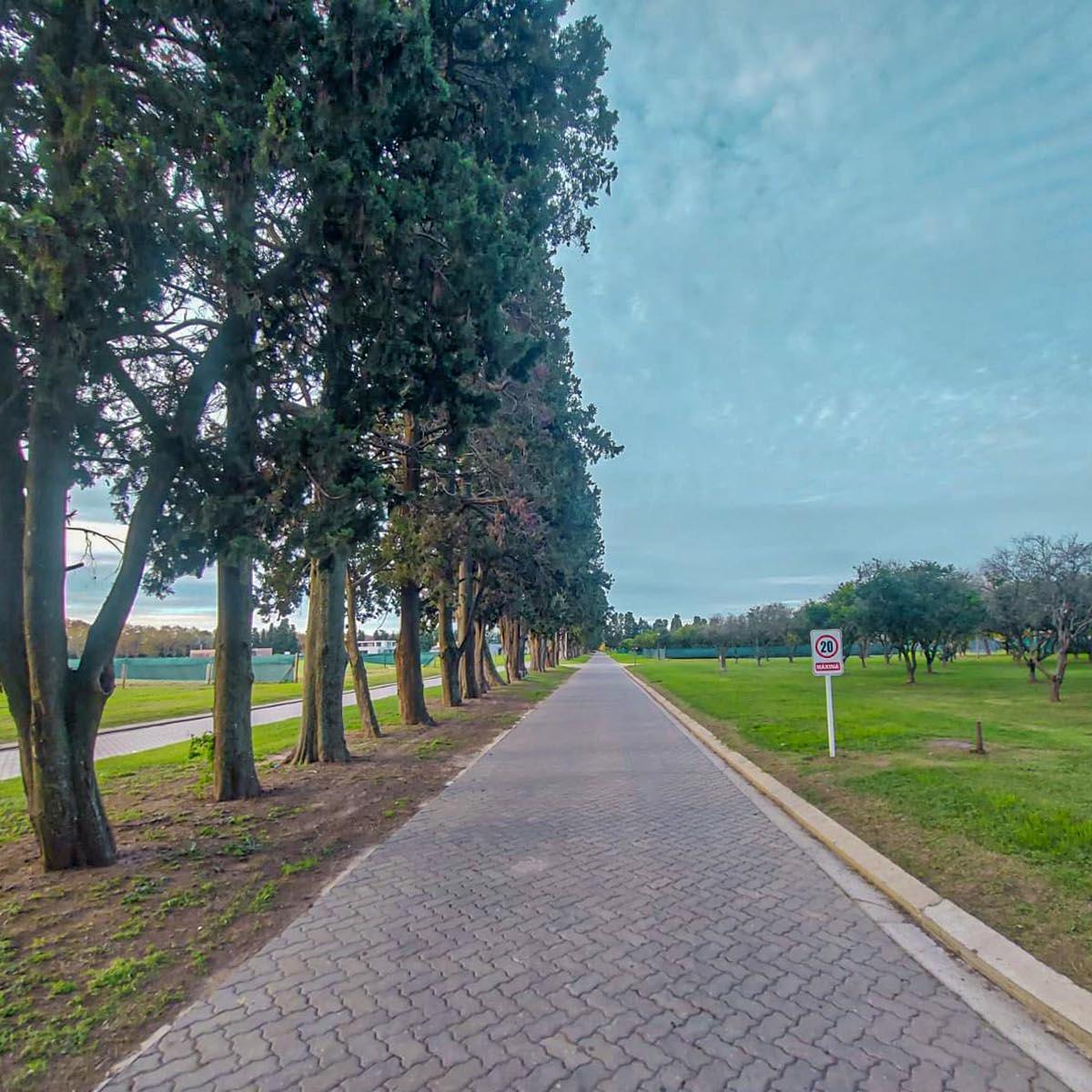 El Mejor Terreno en Azahares del Paraná, Apto Permuta 5